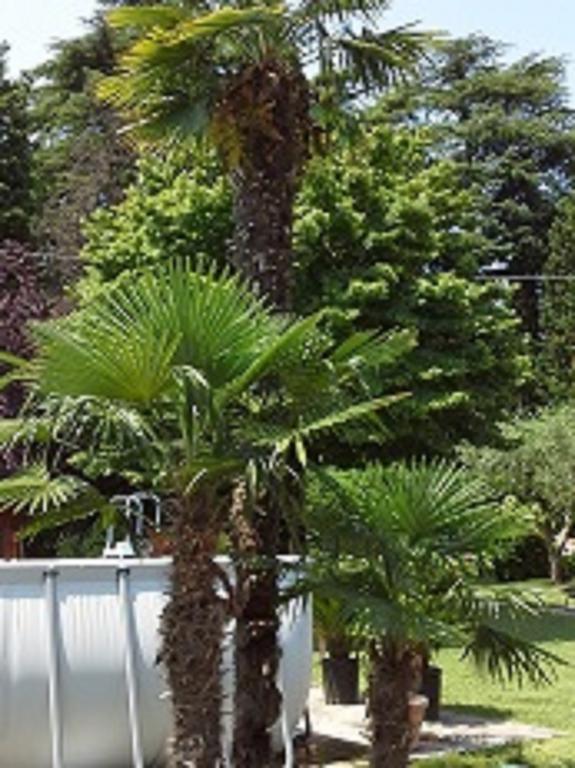 Relais Villa Lezard Lazise Bilik gambar